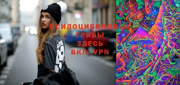 ECSTASY Покровск