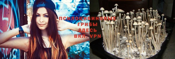 ECSTASY Покровск