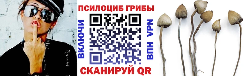 Псилоцибиновые грибы MAGIC MUSHROOMS даркнет сайт Торжок